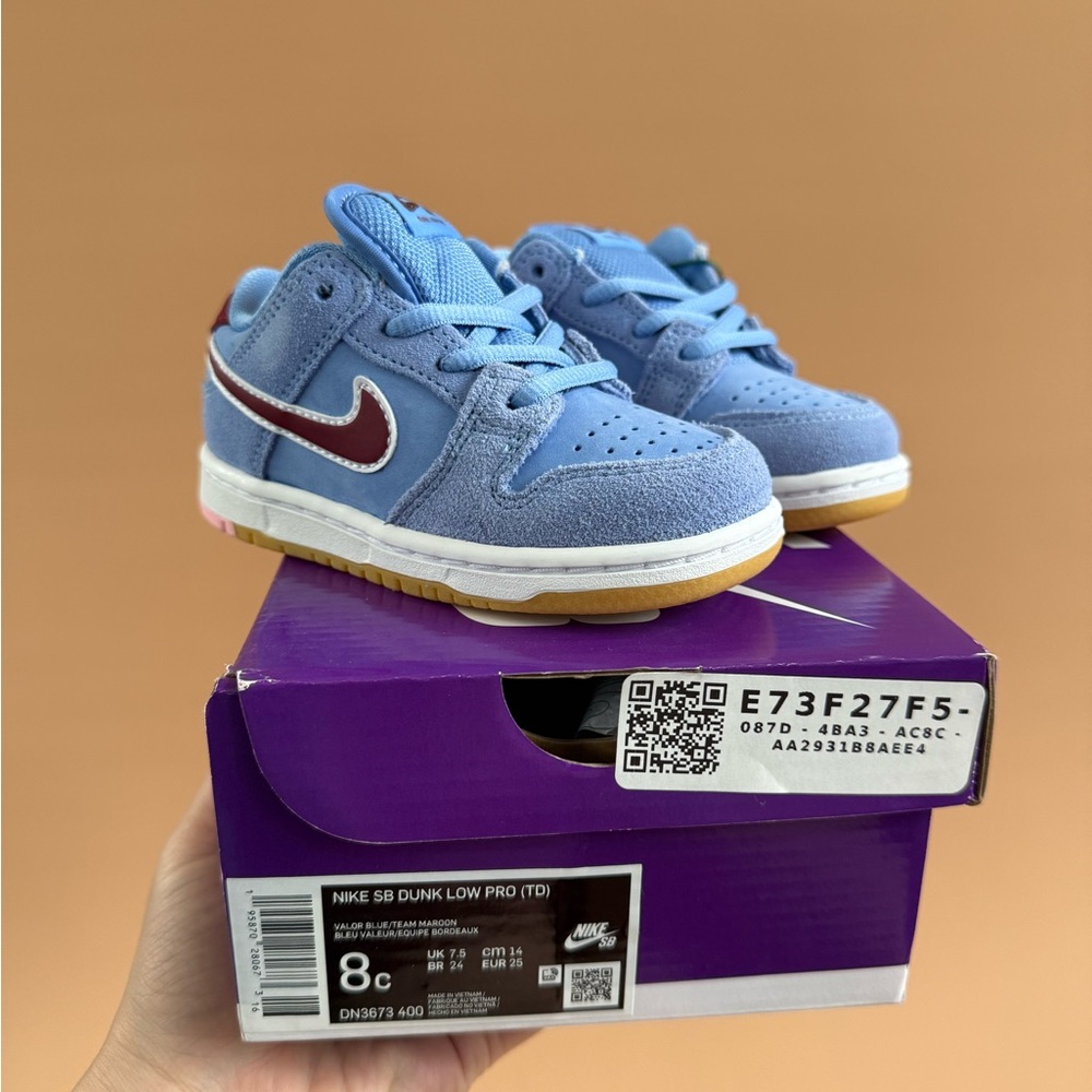 Nike SB Dunk Low Pro TD Blue and Red Sneakers